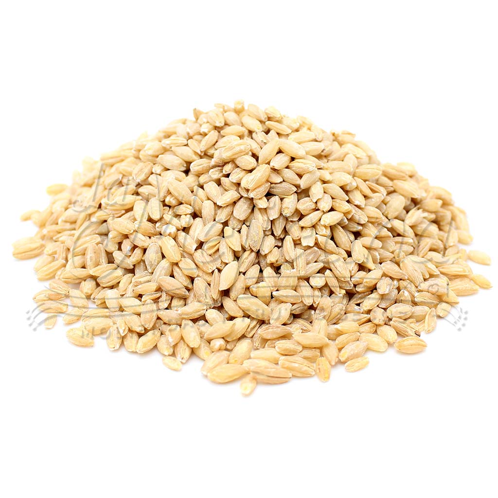 Cebad Cereales – La Mejicana - Moliendas y Frutos Secos